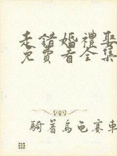 走错婚礼娶对妻免费看全集