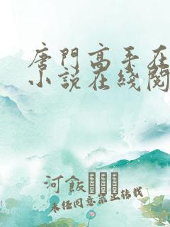 唐门高手在异世小说在线阅读