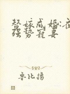 替嫁成婚:夜少强势宠妻