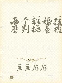 两个离婚孩子怎么判抚养权