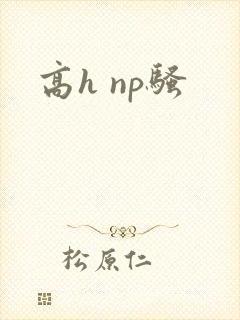 高h np骚