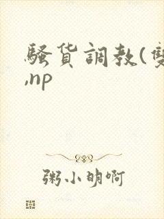 骚货调教(双性,np