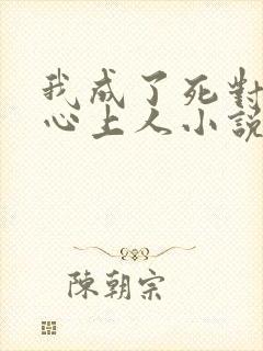 我成了死对头的心上人小说