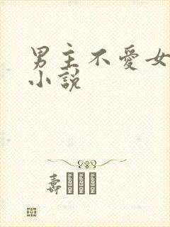 男主不爱女主的小说
