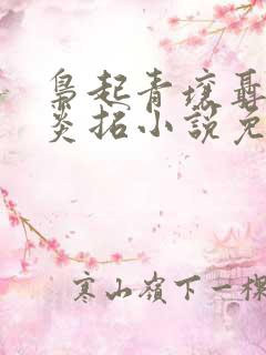 枭起青壤聂九罗炎拓小说免费阅读全文