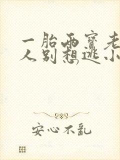 一胎两宝老婆大人别想逃小说全文免费阅读