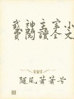 武神主宰小说免费阅读全文下载