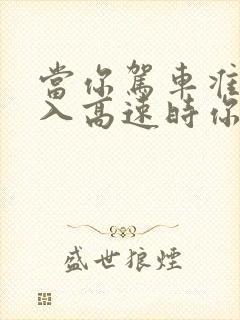 当你驾车准备驶入高速时你应怎样安全