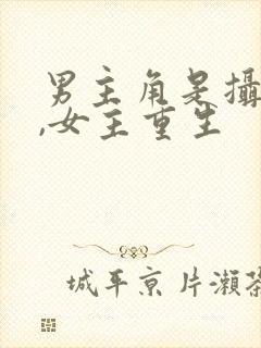 男主角是摄政王,女主重生