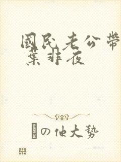 国民老公带回家 叶非夜