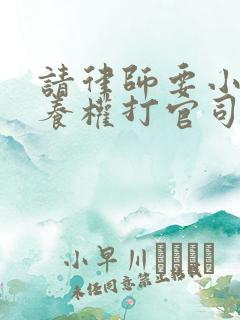 请律师要小孩抚养权打官司一般的收费标准