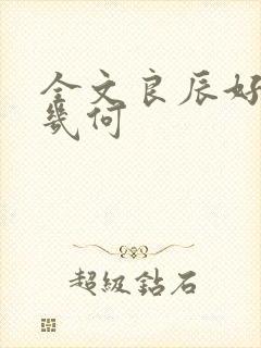 全文良辰好景知几何