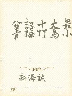 公认十大最好看青梅竹马小说