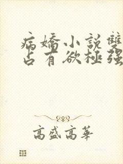 病娇小说双男主占有欲极强