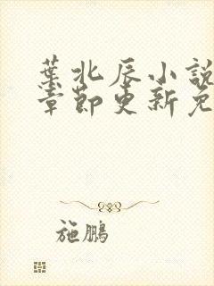 叶北辰小说最新章节更新免费阅读