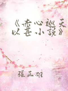 《赤心巡天情何以甚小说》