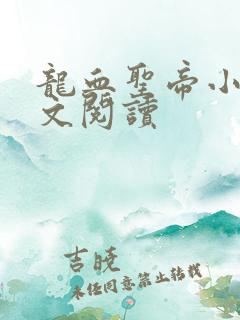 龙血圣帝小说全文阅读