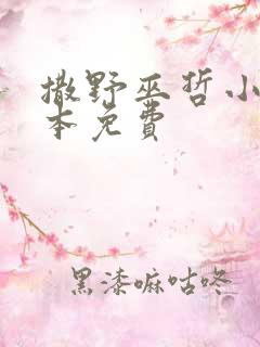 撒野巫哲小说全本免费