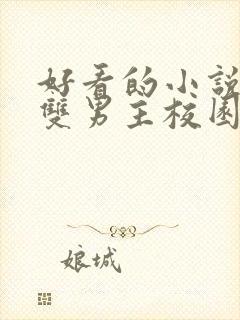 好看的小说推荐双男主校园文