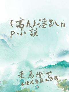 (高h)淫趴np小说
