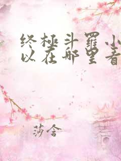 终极斗罗小说可以在哪里看