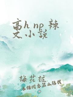 高h np 辣文小说