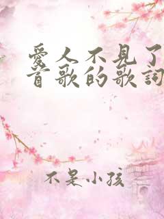 爱人不见了是哪首歌的歌词