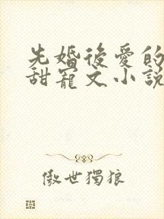 先婚后爱的短篇甜宠文小说
