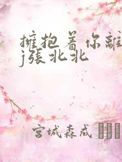 拥抱着你离去dj张北北