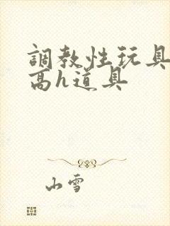 调教性玩具np高h道具