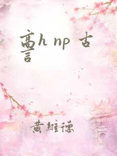高h np 古言