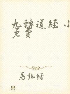 九转道经 小说免费