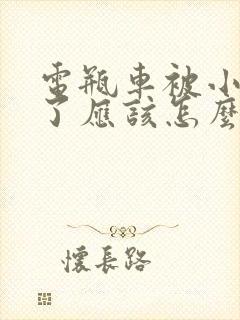 电瓶车被小车撞了应该怎么赔偿