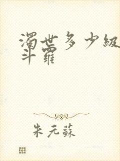 浊世多少级封号斗罗