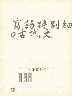 写的特别细的po古代文