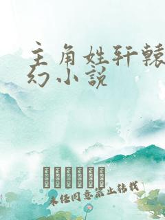 主角姓轩辕的玄幻小说