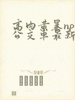 高肉黄暴np文公交车最新章节