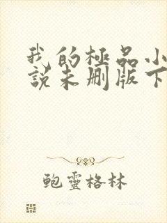 我的极品小姨小说未删版下载txt