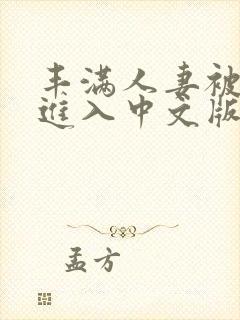 丰满人妻被猛烈进入中文版