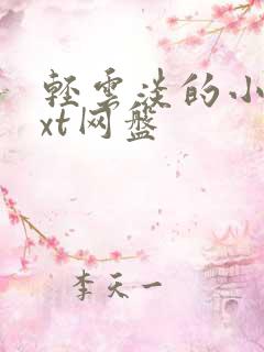 轻云淡的小说txt网盘