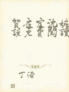 贺夜宸沈婉音小说免费阅读最新章节