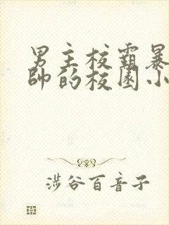 男主校霸暴戾痞帅的校园小甜文