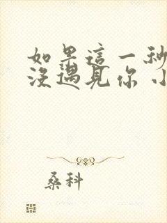 如果这一秒,我没遇见你 小说