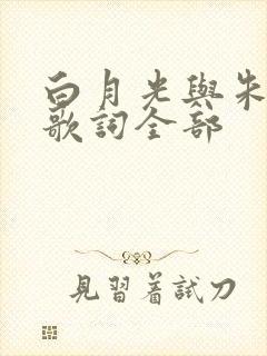 白月光与朱砂痣歌词全部