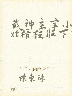 武神主宰小说txt精校版下载