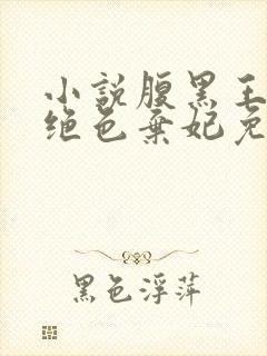 小说腹黑王爷的绝色弃妃免费阅读