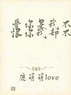 爱你是我不小心恨你我却不忍心是什么歌