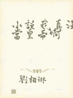 小说 我真没想当皇帝啊