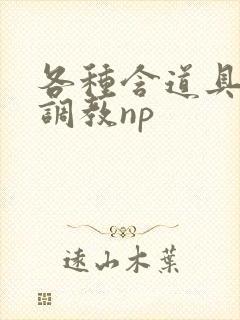 各种含道具高h调教np