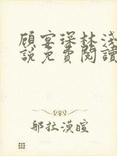 顾宴琛林浅月小说免费阅读最新章节